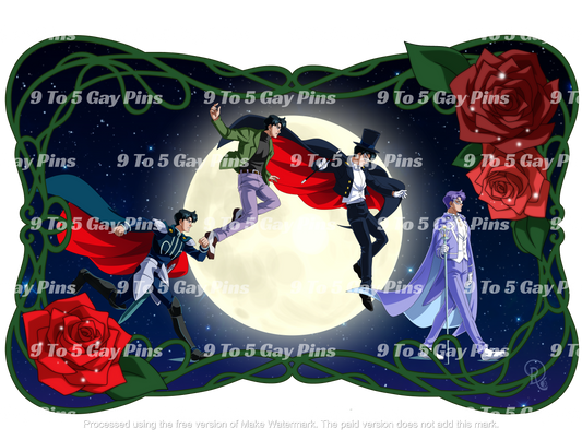 Sailor Evolution