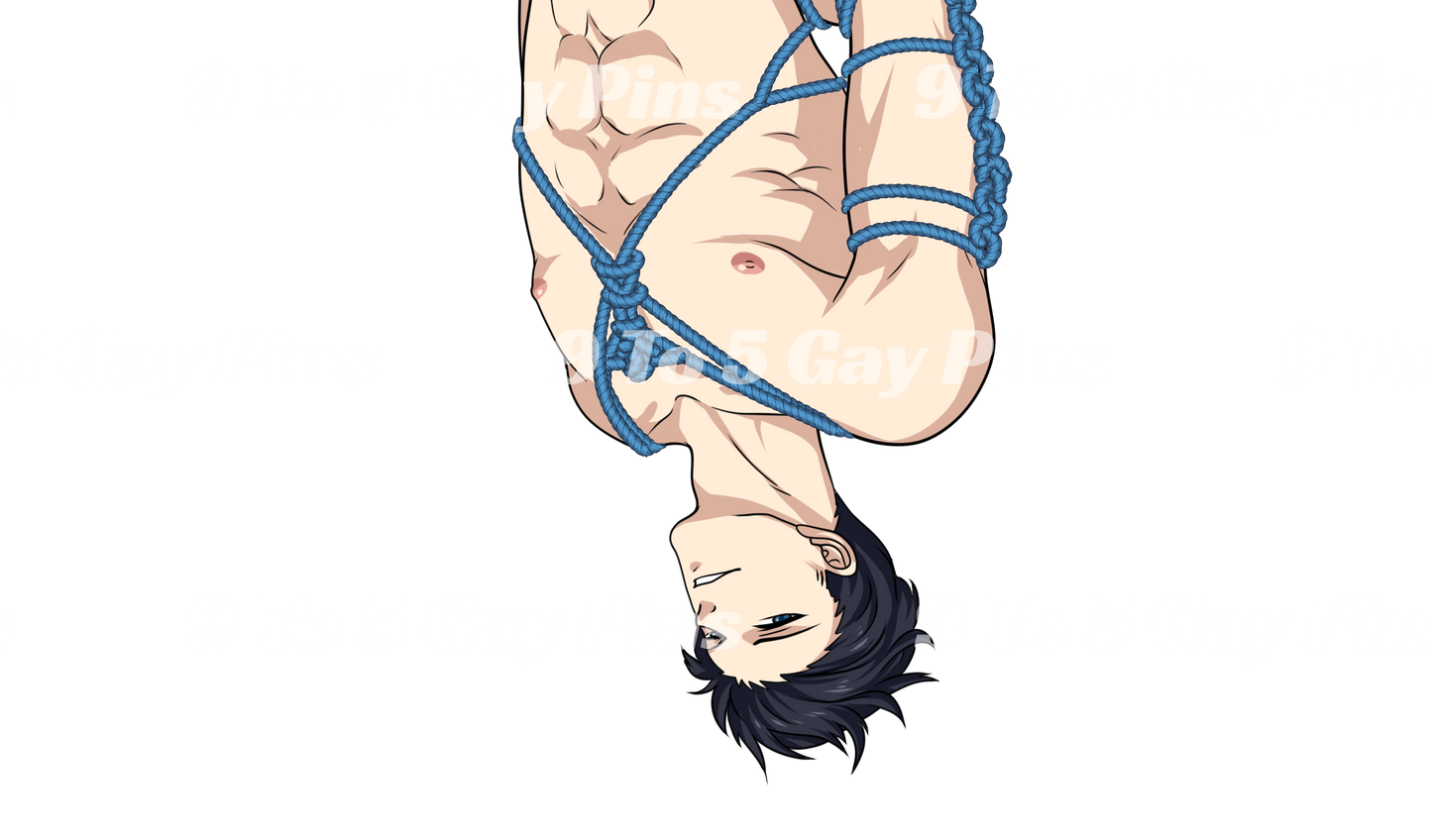 Tied Nightwing