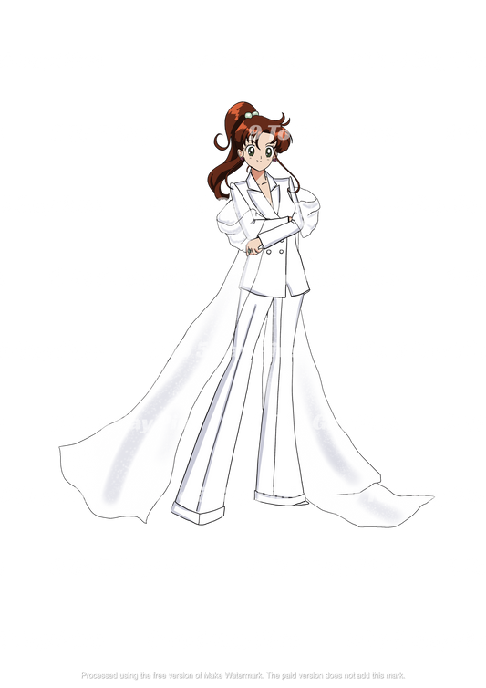 Sailor Brides Preorders